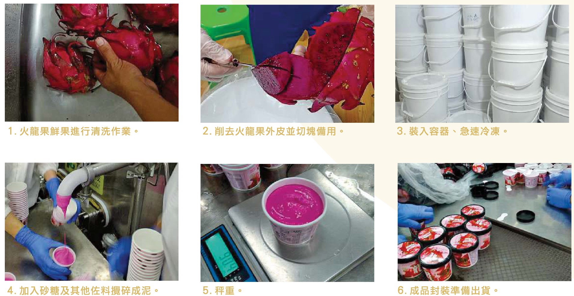 1.火龍果鮮果進行清洗作業。2.修去火龍果外皮並切塊備用。3.裝入容器、急速冷凍。4.加入砂糖及其他佐料攪碎成泥。5.秤重。6.成品封裝準備出貨。