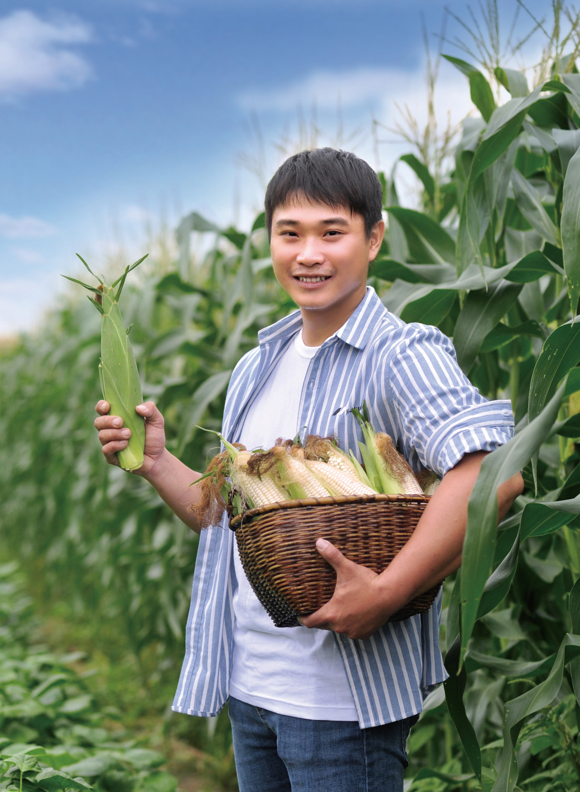 西裝玉米 陳柏志
