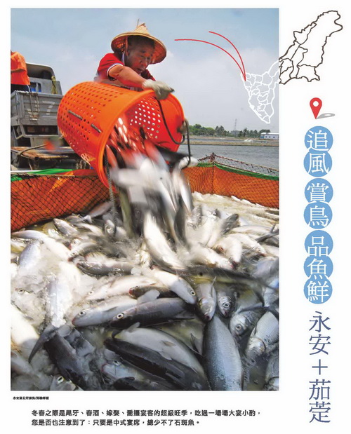 追風、賞鳥、品魚鮮 永安＋茄萣