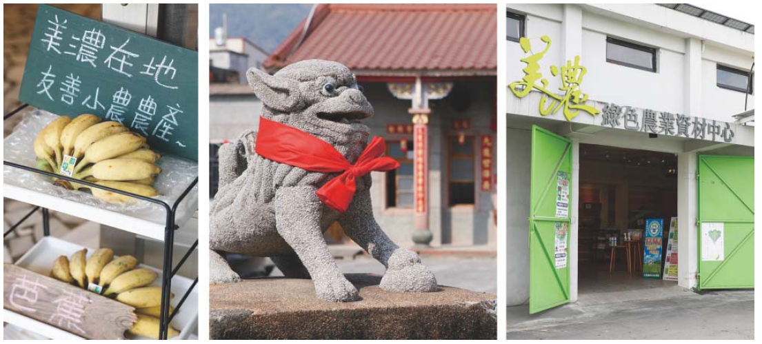 左圖：美濃在地芭蕉。中圖：石獅子。右圖：美濃綠色農業資材中心門口