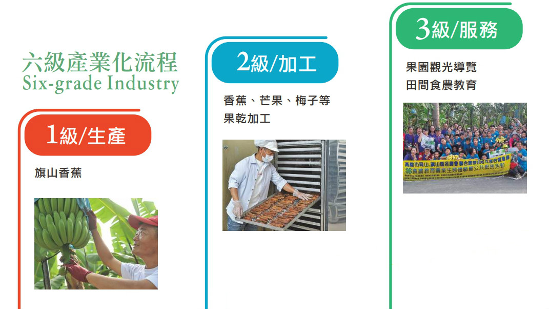六級產業化流程 - 1級/生產：旗山香蕉。2級/加工：香蕉、芒果、梅子等果乾加工。3級/服務：果園觀光導覽，田間食農教育。