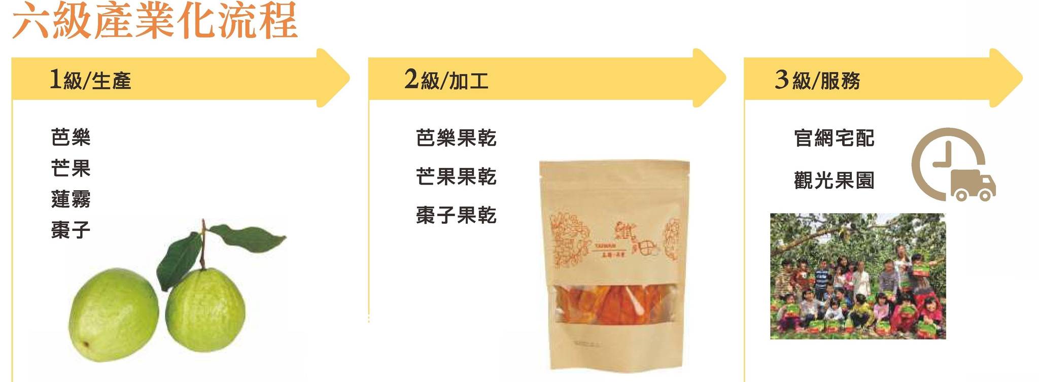 六級產業化流程-1級/生產：芭樂、芒果、蓮霧、棗子。2級/加工：芭樂果乾、芒果果乾、棗子果乾。3級/服務：官網宅配、觀光果園。