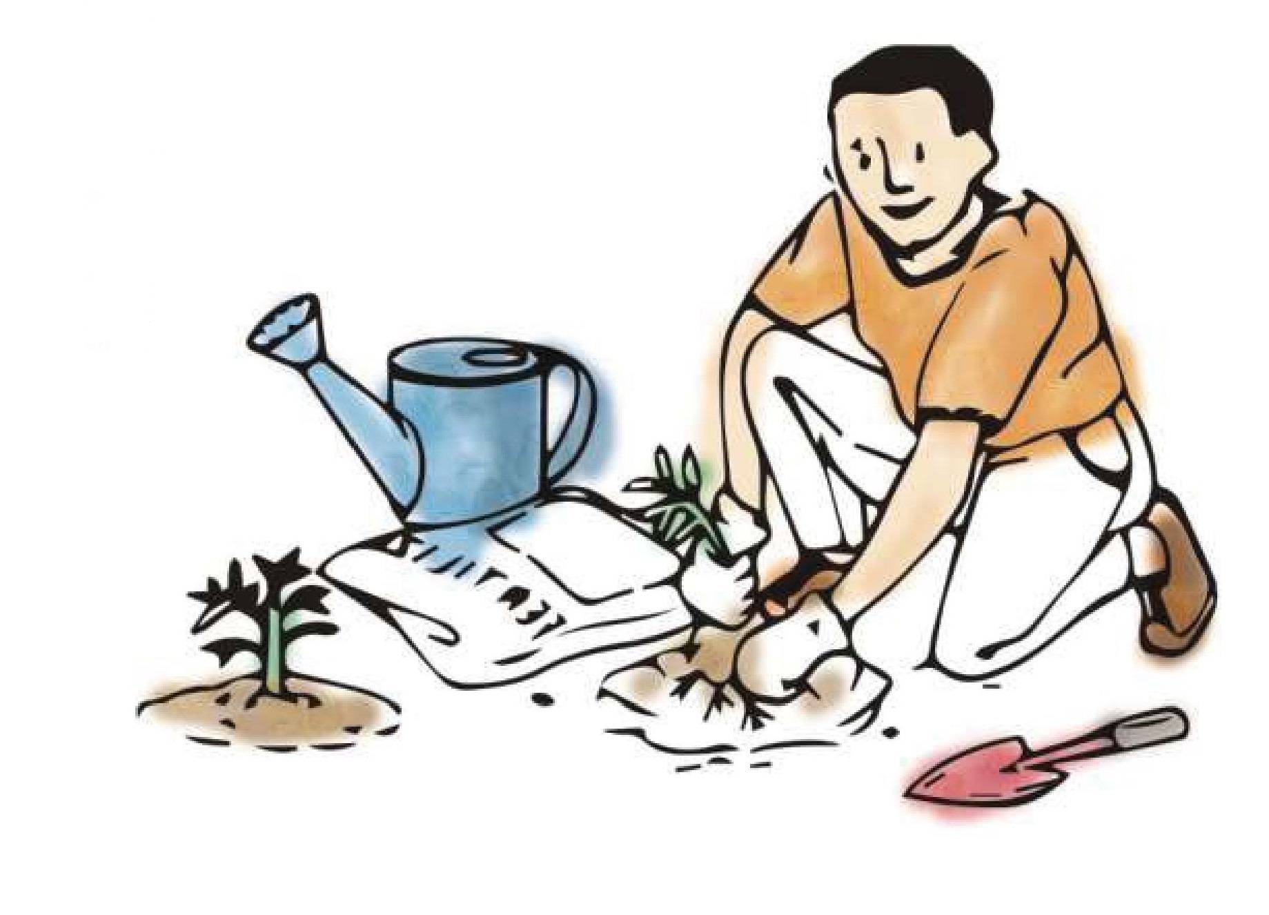種菜插圖