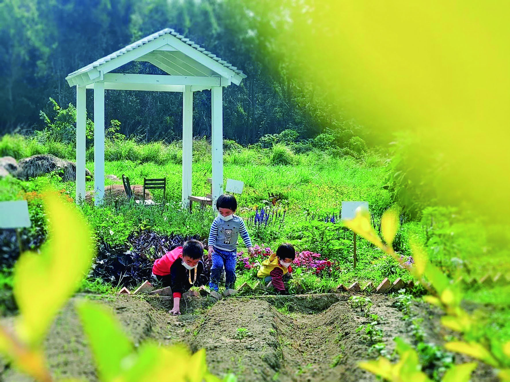 捷運出口的草莓食農夢