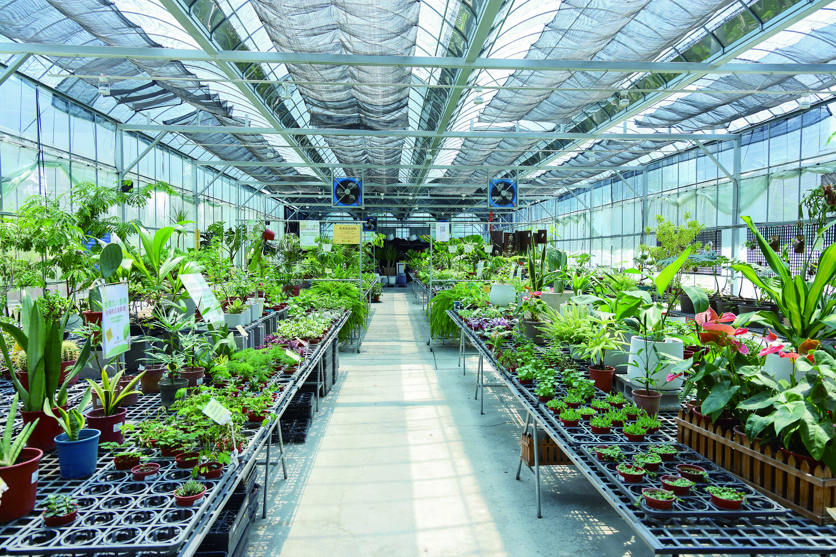 捷運出口的草莓食農夢