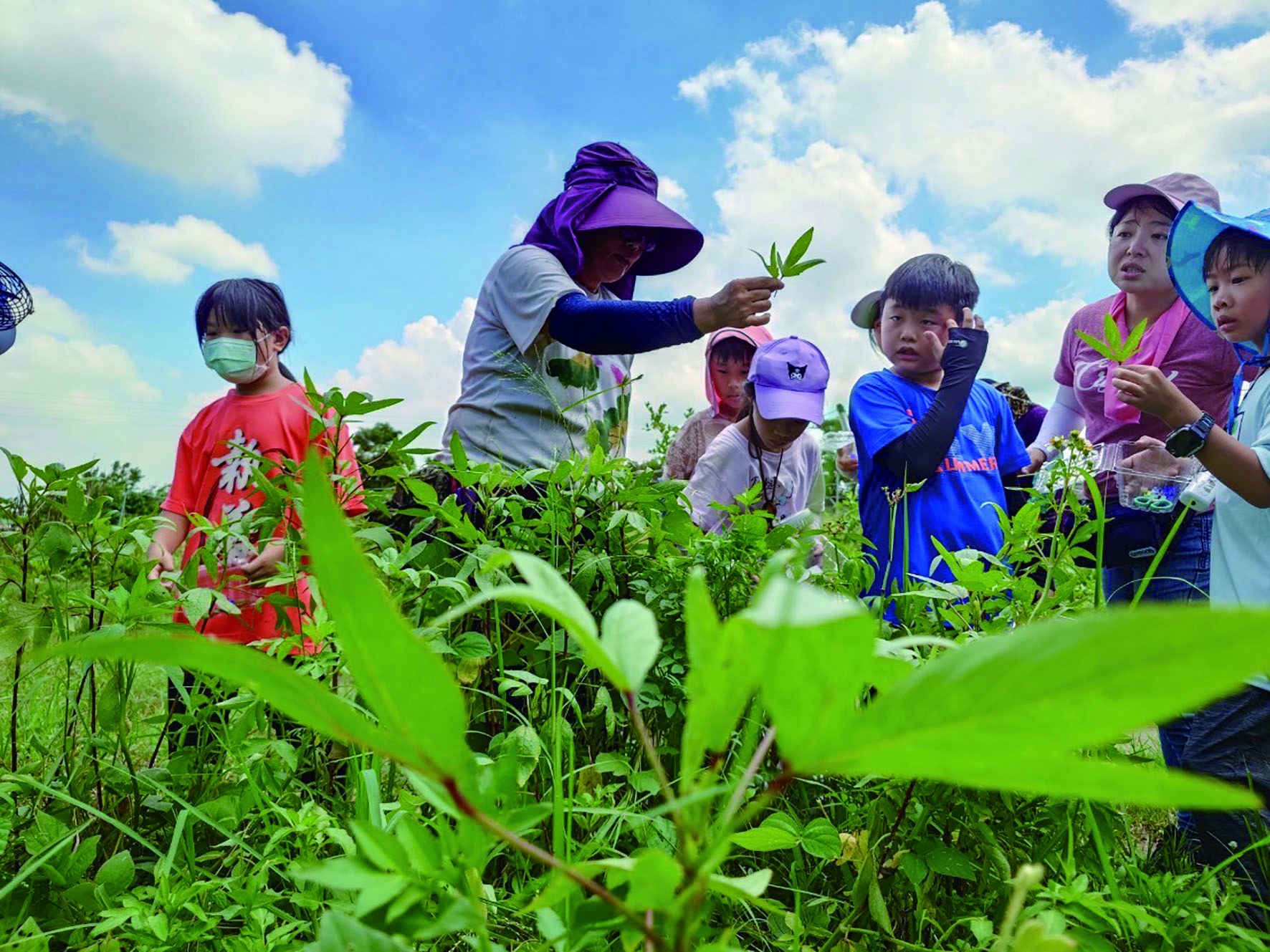 捷運出口的草莓食農夢3