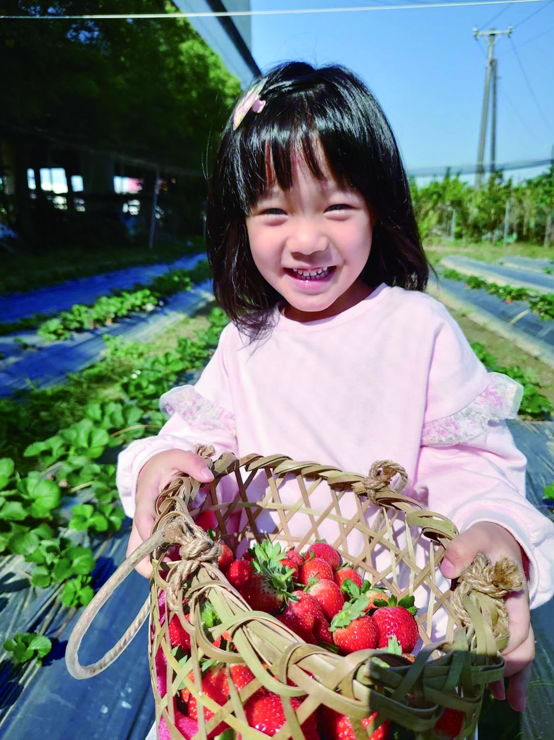 捷運出口的草莓食農夢4