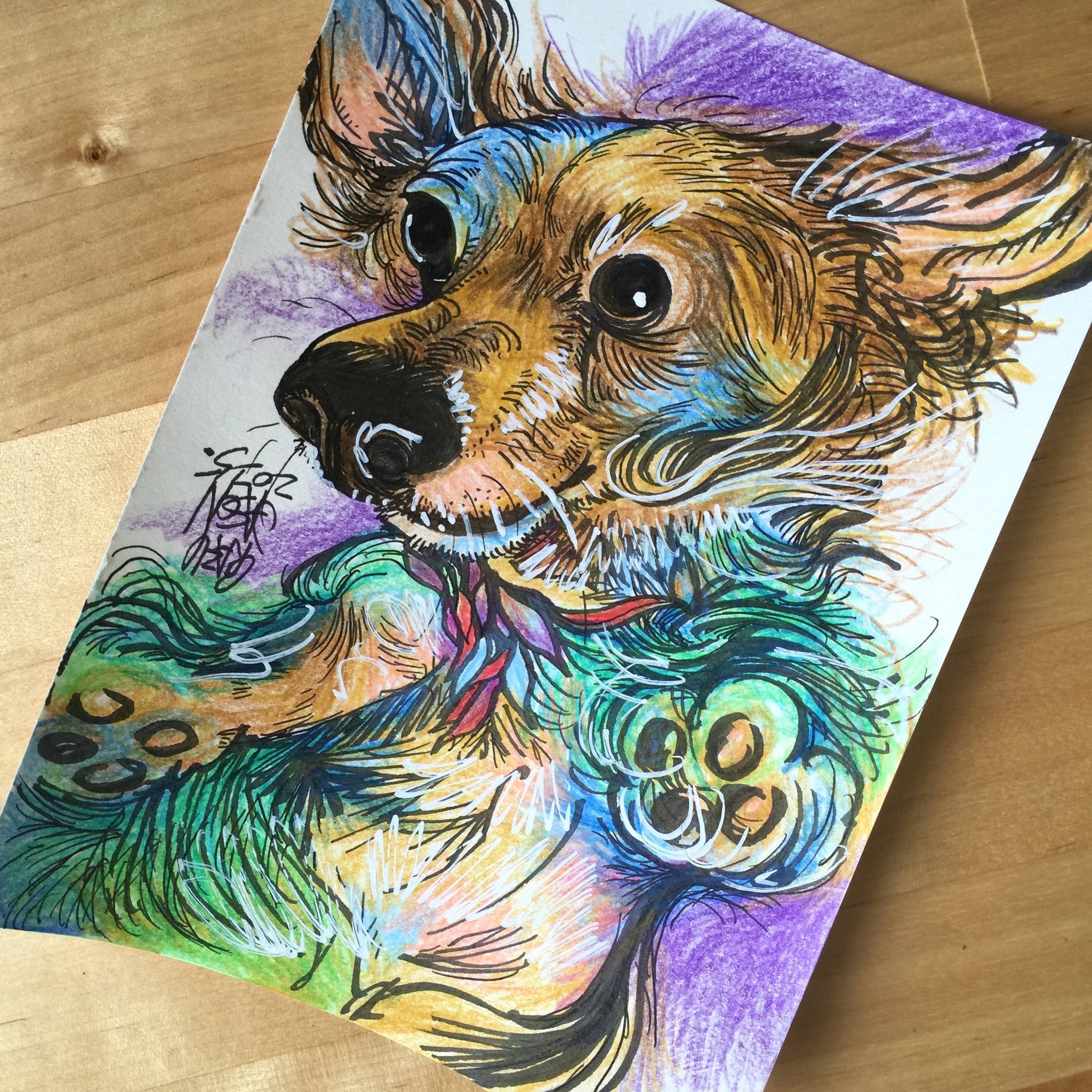 狗狗插畫
