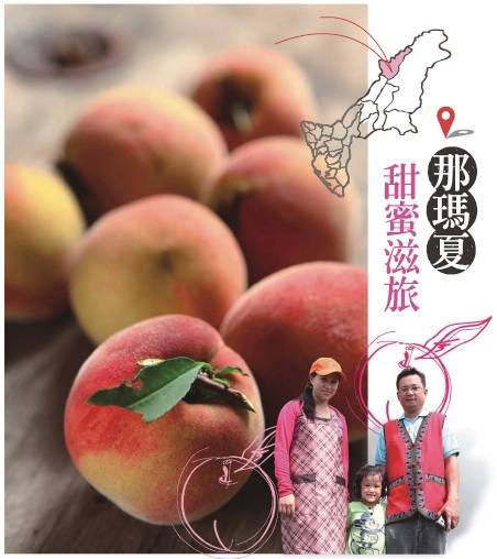 那瑪夏甜蜜滋旅