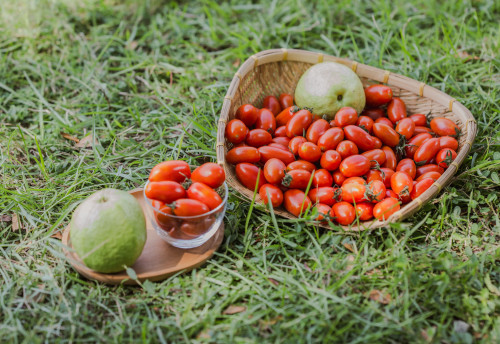 圖片-蔡勝豪個人照片(三)